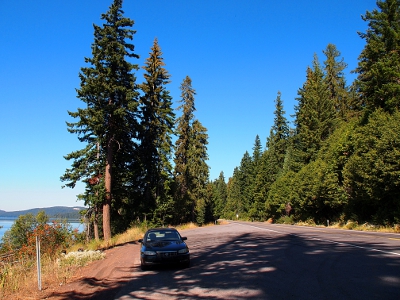 [Mid-sized car on paved pulloff beside road with nearby evergreens dwarfing the car.]